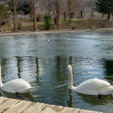 Del Llac *
